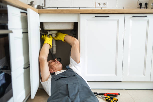 Best Plumbing Services Near Me  in Temesl Valley, CA